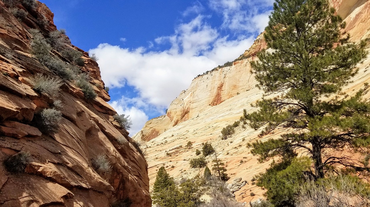 Hidden Trails in the United States’ Zion National Park